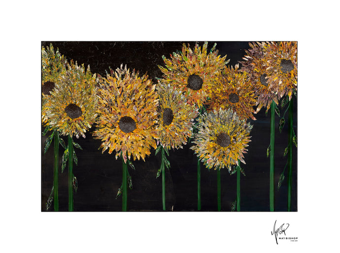 Sun Burst [Artist Signed, Limited Edition Print] - Mat Bishop Fine Art Online Store