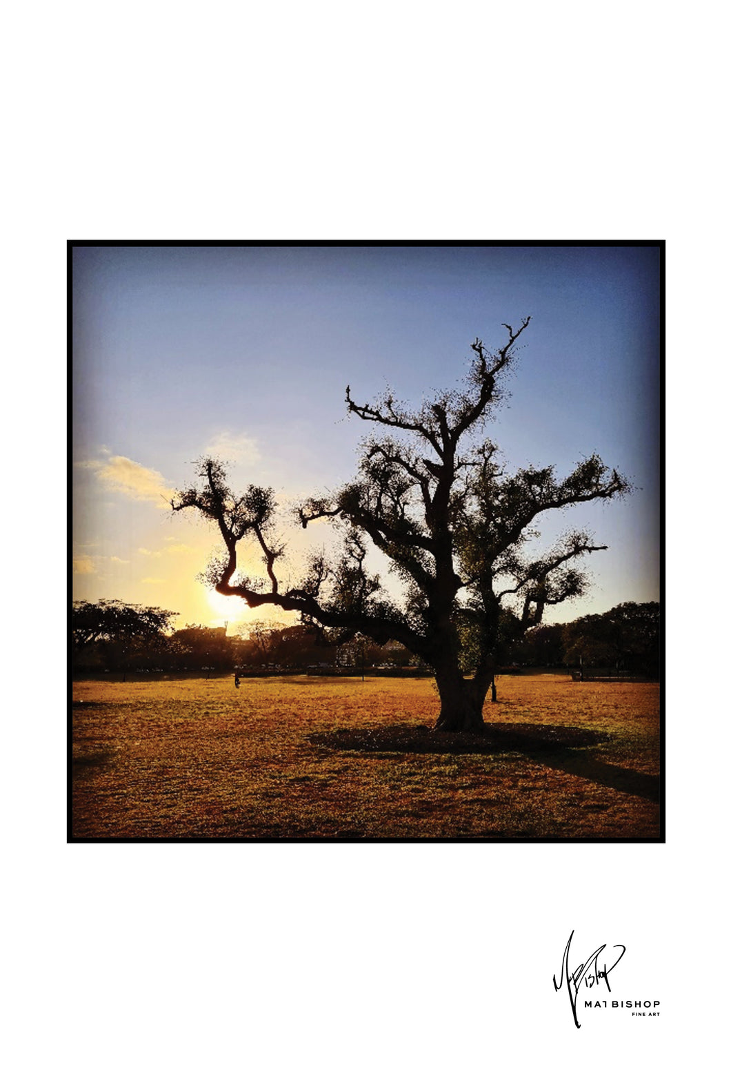 Our Land Silhouette [Print] - Mat Bishop Fine Art Online Store